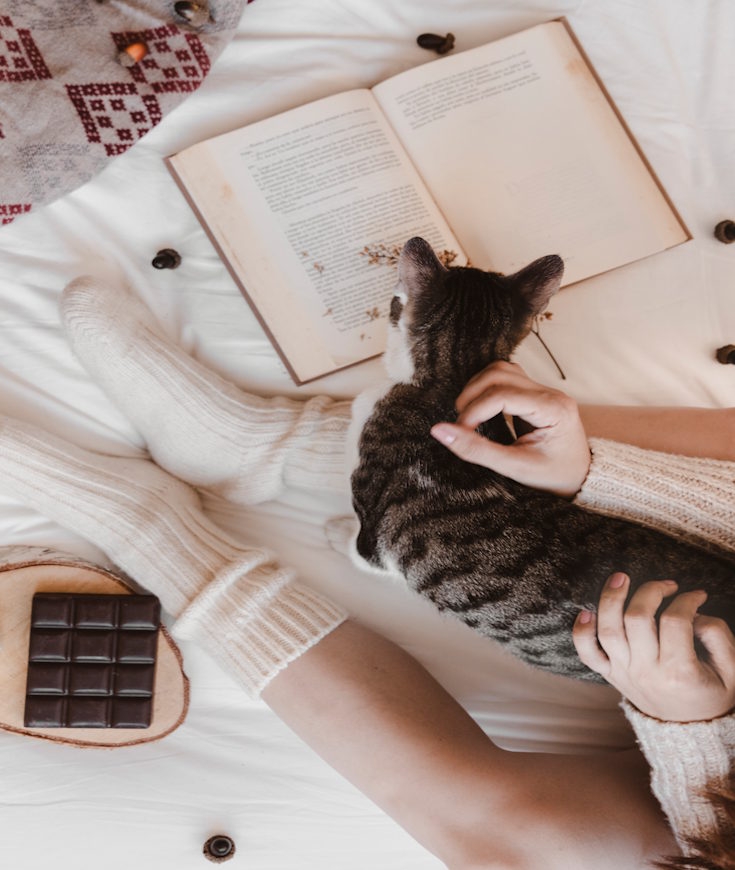 Pourquoi le chocolat est dangereux pour les chats ?